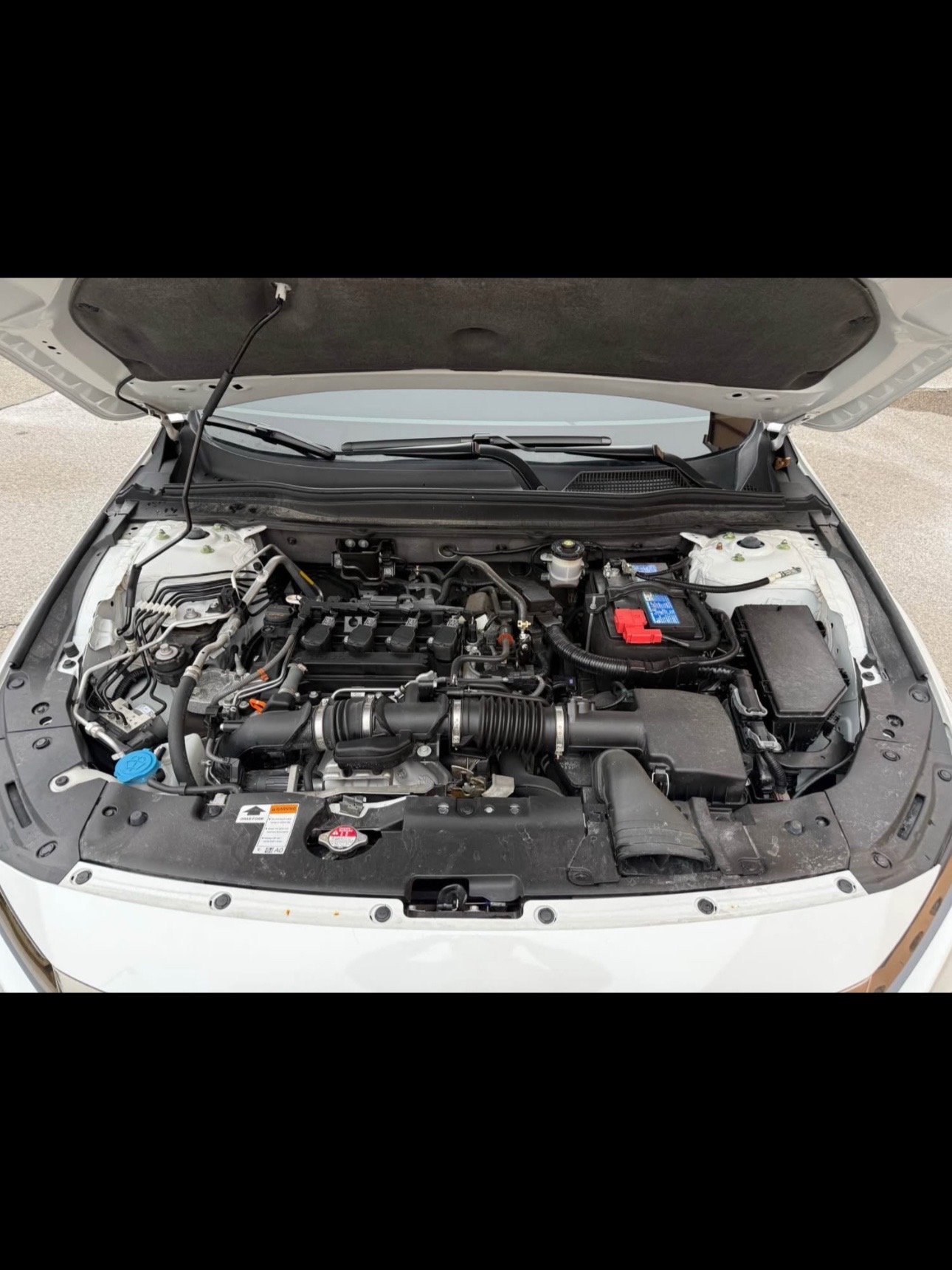 TikSave.io_7615647607183936781_20