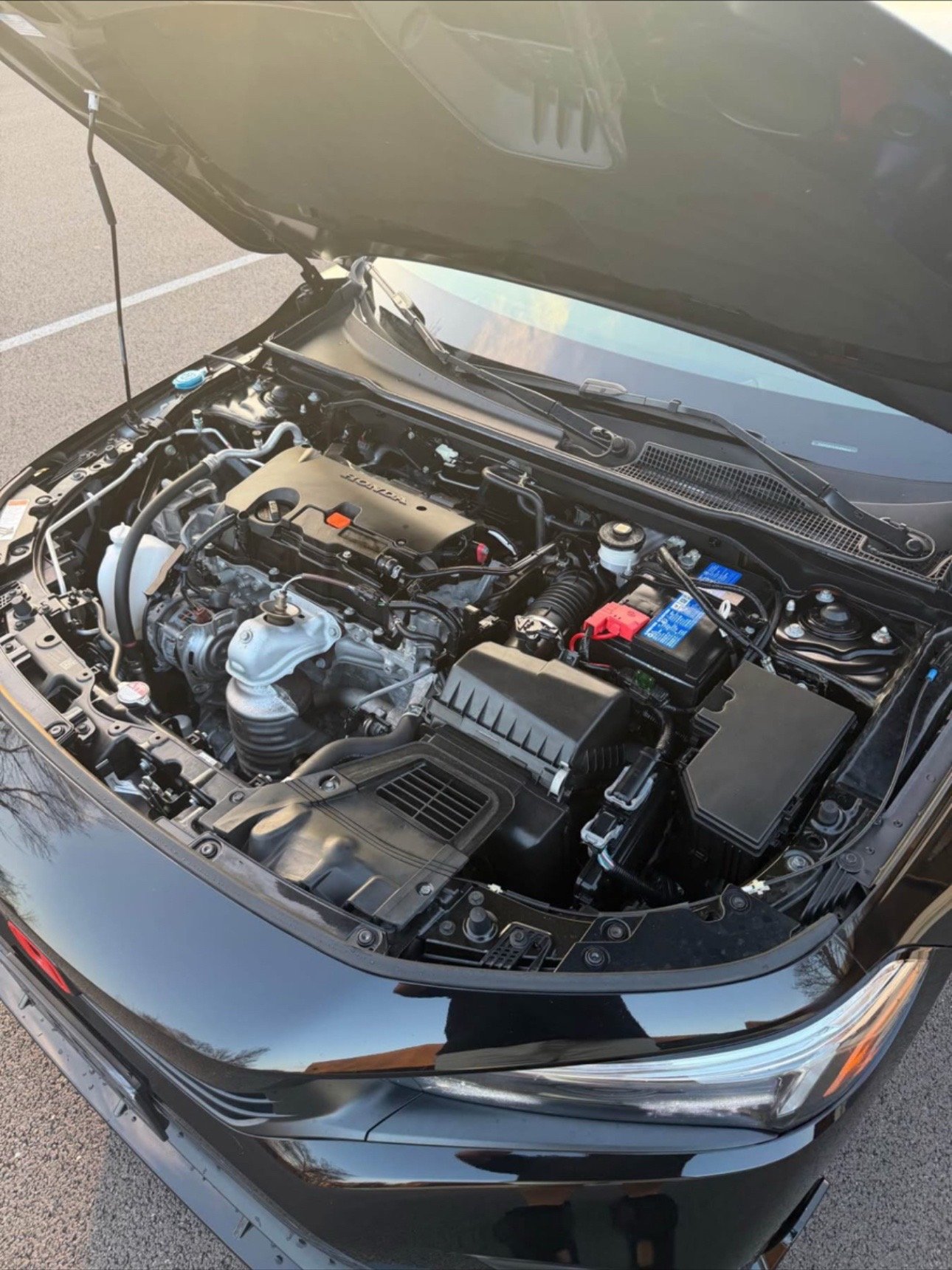 TikSave.io_7616009902556826893_10