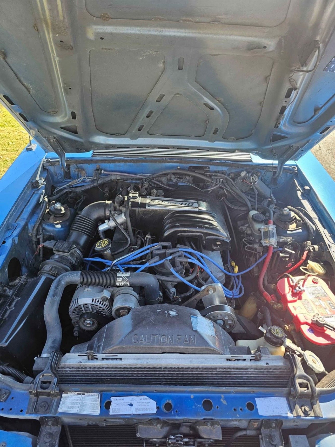 TikSave.io_7617293580150803725_9